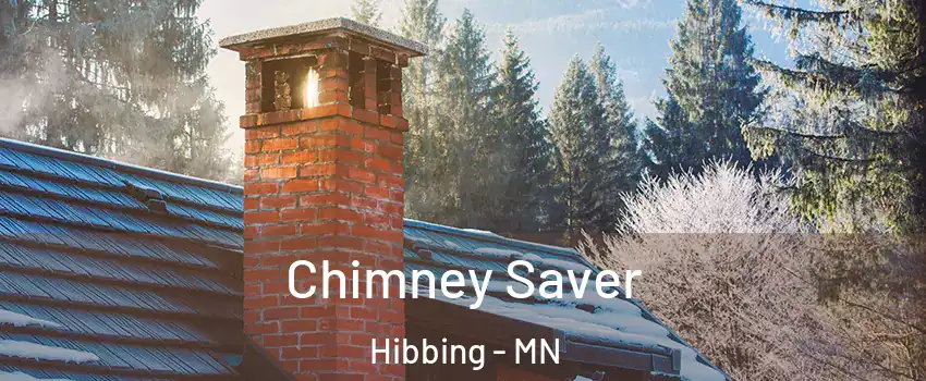 Chimney Saver Hibbing - MN