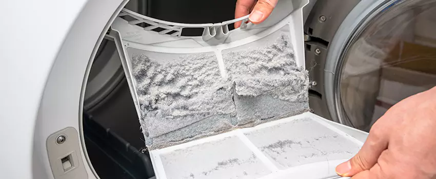 Best Dryer Lint Removal Company in Hibbing, Minnesota