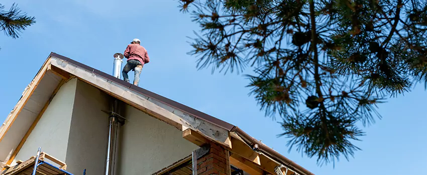 Birds Removal Contractors from Chimney in Hibbing, MN